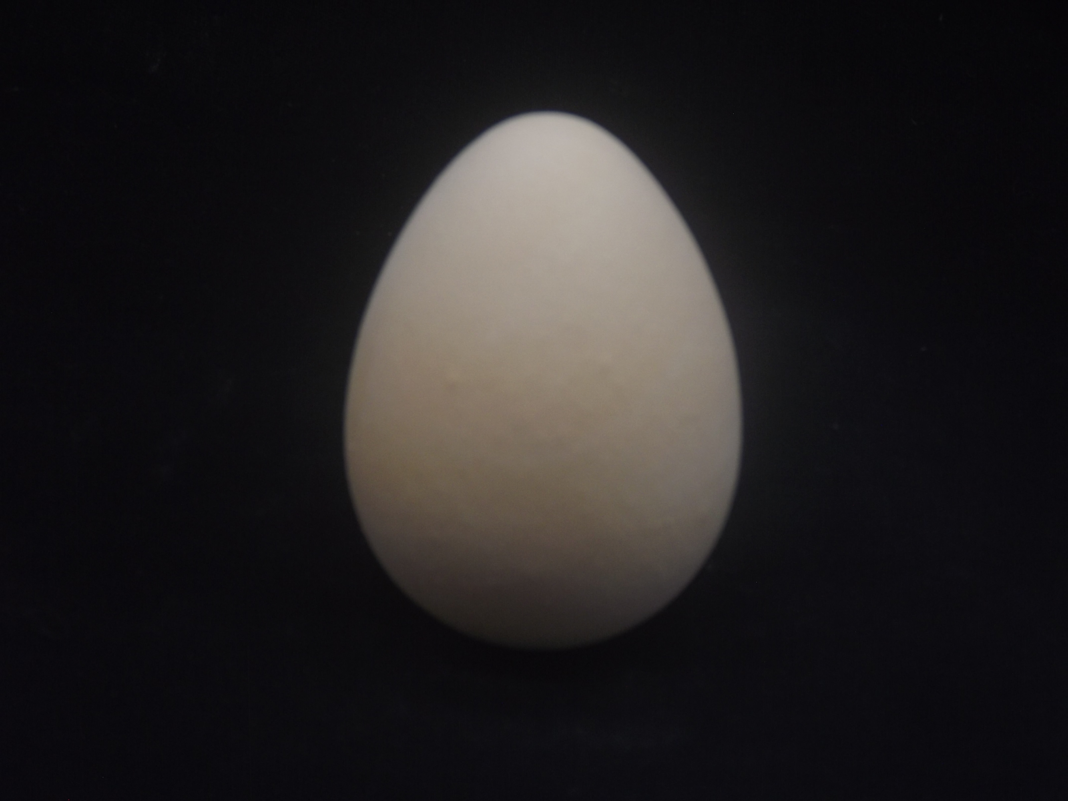 Ovo de Galinha